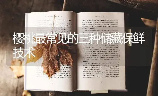 樱桃最常见的三种储藏保鲜技术 | 特种种植