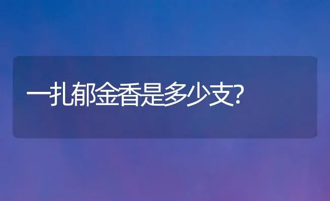 一扎郁金香是多少支？ | 绿植常识