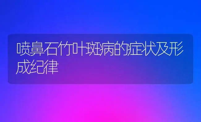 正人兰有哪些罕见病害？怎样防治和治疗？ | 家庭养花