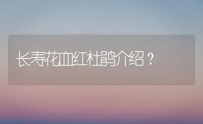 长寿花血红杜鹃介绍？ | 多肉养殖