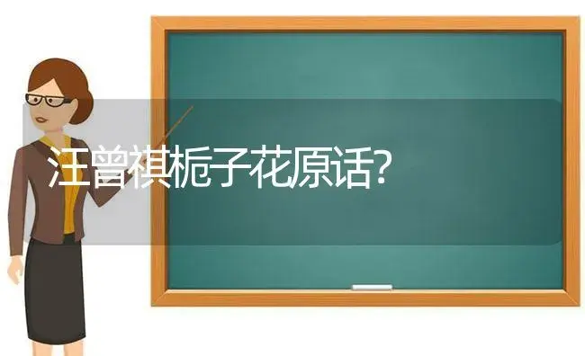 红玫瑰，黄玫瑰，黑玫瑰，白玫瑰，紫玫瑰它们分别代表着什么含义？ | 绿植常识