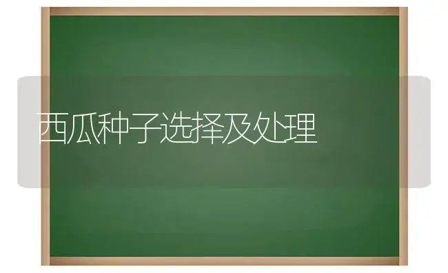 西瓜种子选择及处理 | 果木种植