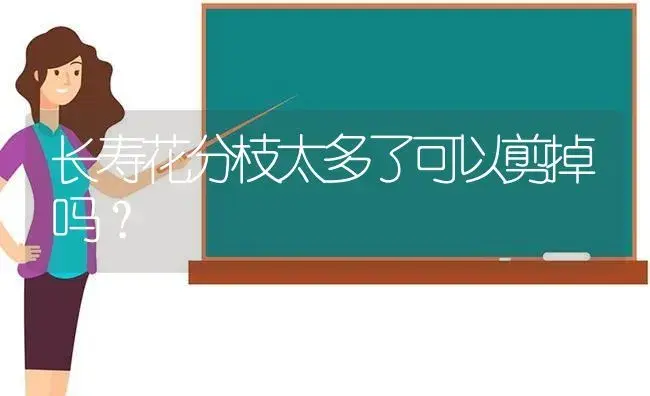 长寿花分枝太多了可以剪掉吗？ | 多肉养殖