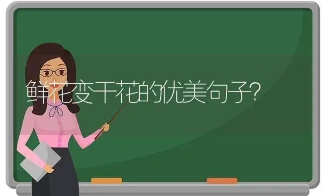 鲜花变干花的优美句子？ | 绿植常识