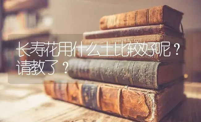 长寿花用什么土比较好呢？请教了？ | 多肉养殖