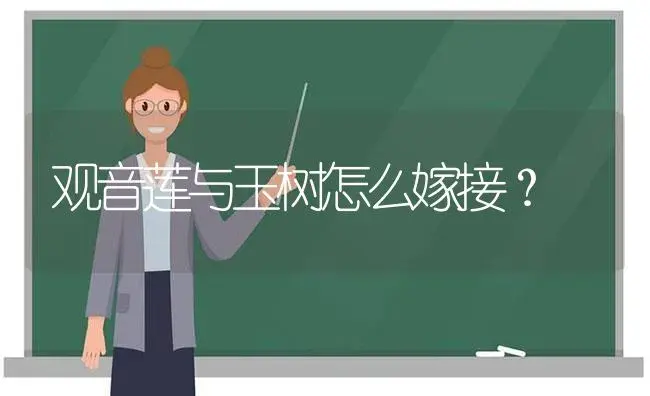 观音莲与玉树怎么嫁接？ | 多肉养殖