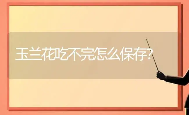 玉兰花吃不完怎么保存？ | 绿植常识