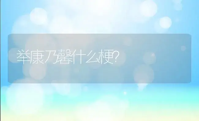 举康乃馨什么梗？ | 绿植常识