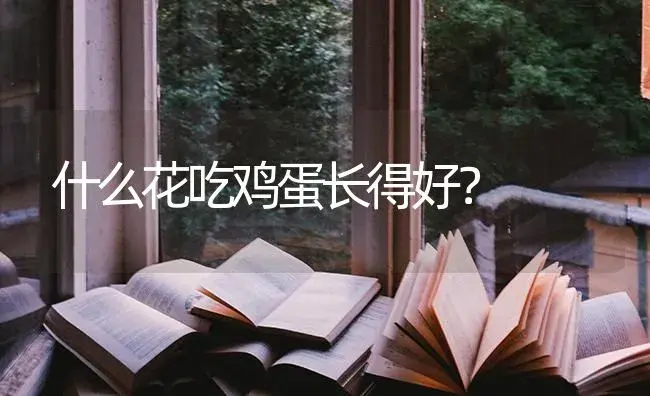 什么花吃鸡蛋长得好？ | 绿植常识