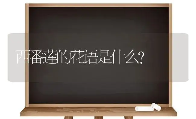 西番莲的花语是什么？ | 绿植寓意