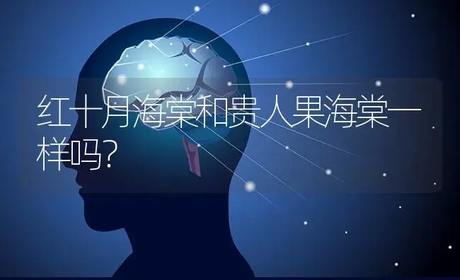 红十月海棠和贵人果海棠一样吗？ | 绿植常识