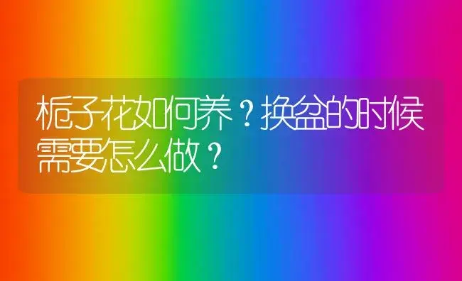 栀子花如何养？换盆的时候需要怎么做？ | 绿植常识