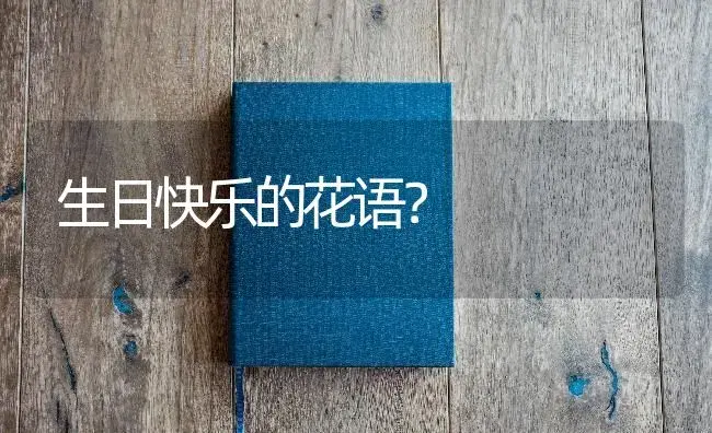 生日快乐的花语？ | 多肉养殖