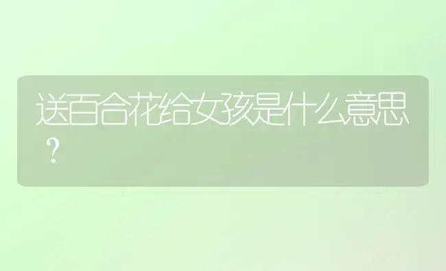 送百合花给女孩是什么意思？ | 绿植常识