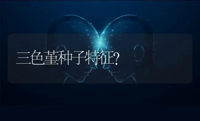 三色堇种子特征？ | 绿植常识