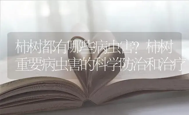 柿树都有哪些病虫害？柿树重要病虫害的科学防治和治疗 | 果木种植