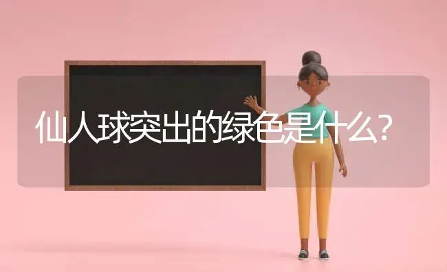 仙人球突出的绿色是什么？ | 多肉养殖