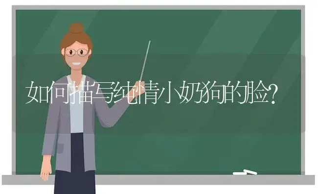 如何描写纯情小奶狗的脸？ | 绿植常识