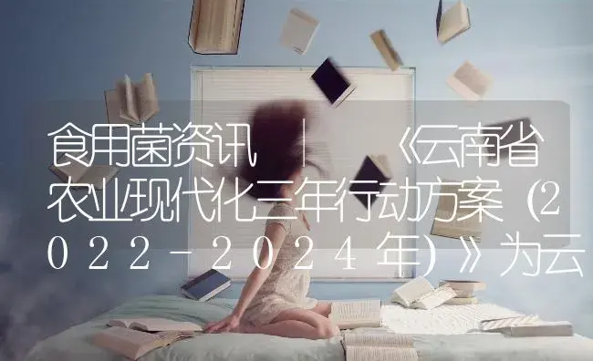 《云南省农业现代化三年行动方案（2022-2024年）》为云南省食用菌产业再上台阶奠定坚实政策基础 | 菌菇种植