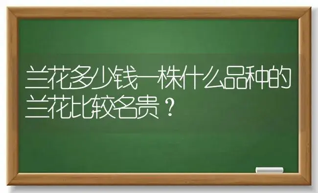 兰花多少钱一株什么品种的兰花比较名贵？ | 绿植常识