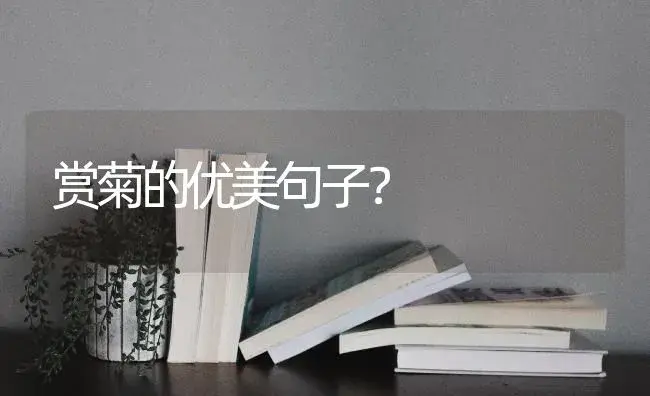 水仙花在一月份的早上还是晚上还是中午开放？ | 绿植常识