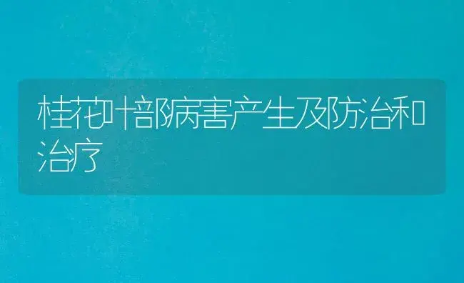 提升百合产量二法 | 家庭养花