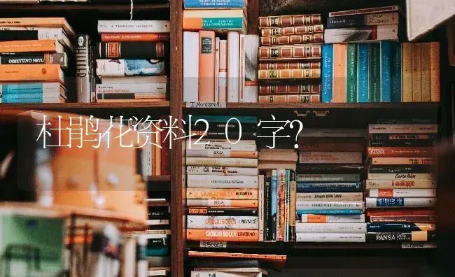 杜鹃花资料20字？ | 绿植常识