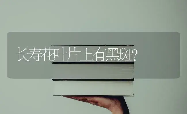长寿花叶片上有黑斑？ | 多肉养殖