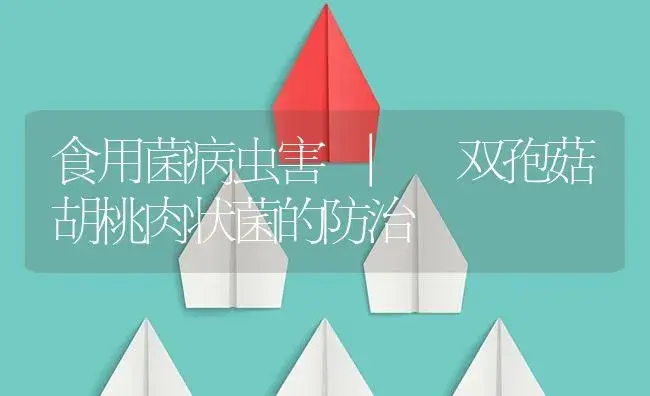 双孢菇胡桃肉状菌的防治 | 菌菇种植