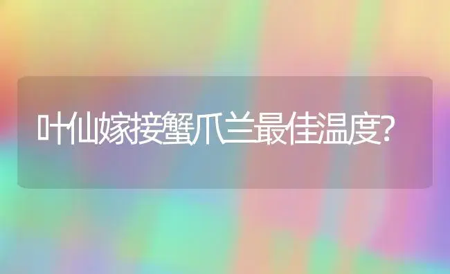 叶仙嫁接蟹爪兰最佳温度？ | 多肉养殖