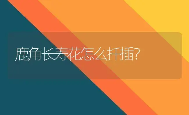 鹿角长寿花怎么扦插？ | 多肉养殖