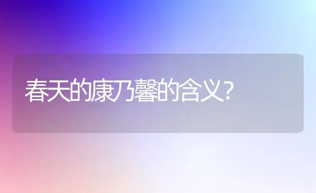 春天的康乃馨的含义？ | 绿植常识