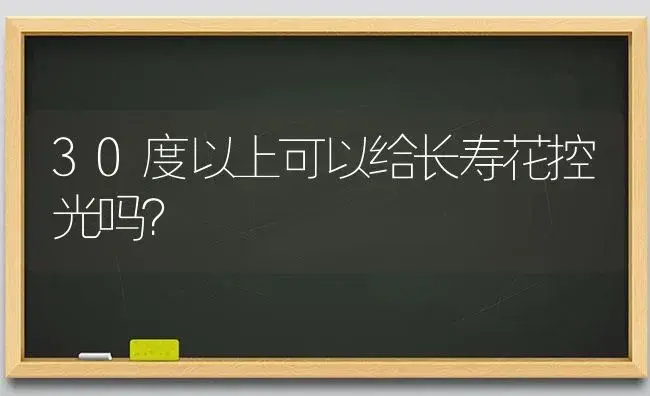 30度以上可以给长寿花控光吗？ | 多肉养殖