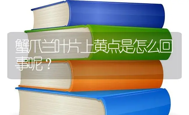 蟹爪兰叶片上黄点是怎么回事呢？ | 多肉养殖