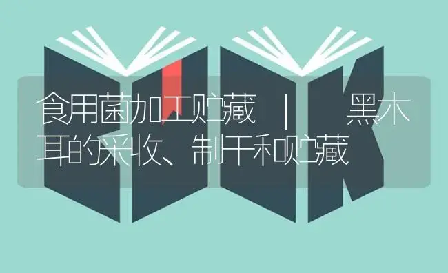 黑木耳的采收、制干和贮藏 | 菌菇种植