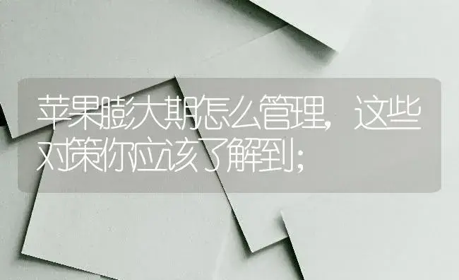 苹果膨大期怎么管理，这些对策你应该了解到； | 果木种植