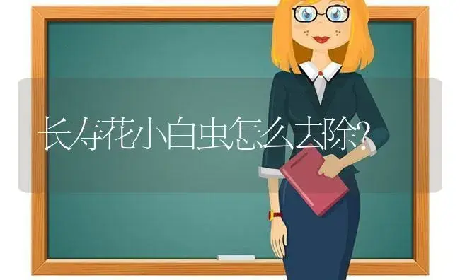 长寿花小白虫怎么去除？ | 多肉养殖