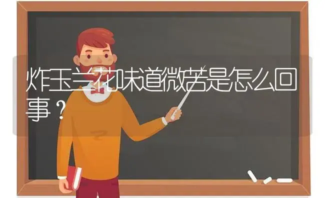 紫罗兰玫瑰是什么意思?说出来算你聪明？ | 绿植常识