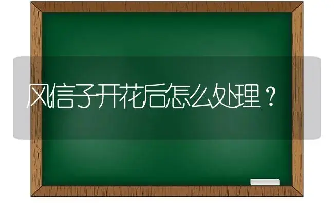 风信子开花后怎么处理？ | 绿植常识