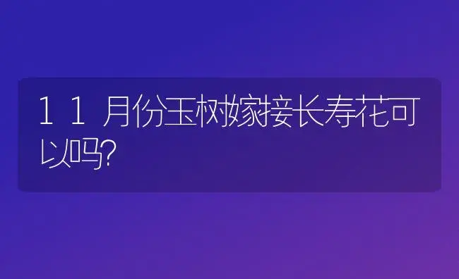 11月份玉树嫁接长寿花可以吗？ | 多肉养殖