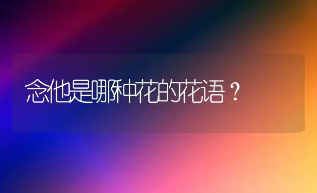 念他是哪种花的花语？ | 绿植常识