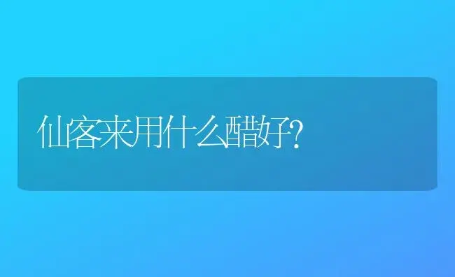 仙客来用什么醋好？ | 绿植常识