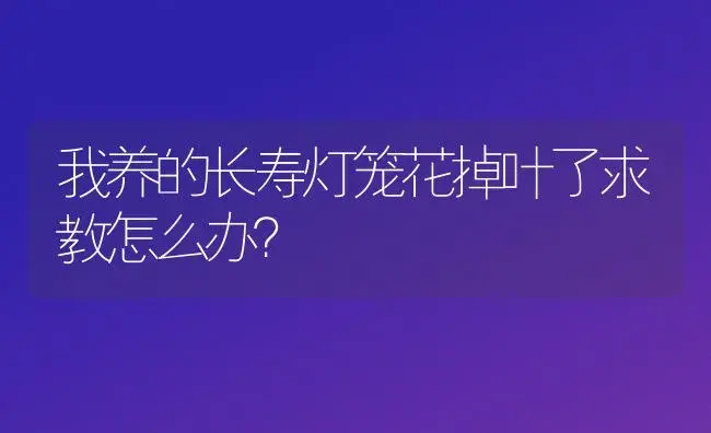 我养的长寿灯笼花掉叶了求教怎么办？ | 多肉养殖