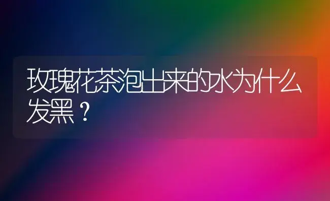 玫瑰花茶泡出来的水为什么发黑？ | 绿植常识