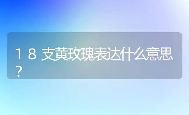 18支黄玫瑰表达什么意思？ | 绿植常识