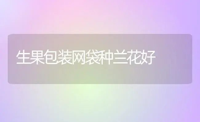 生果包装网袋种兰花好 | 家庭养花