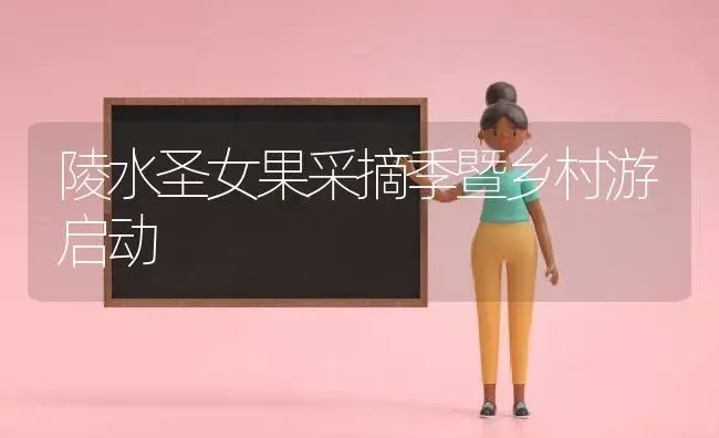 陵水圣女果采摘季暨乡村游启动 | 果木种植