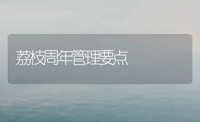 荔枝周年管理要点 | 果木种植