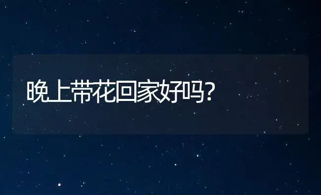 16朵玫瑰花语什么？ | 绿植常识