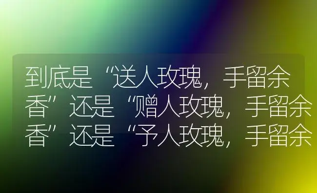 到底是“送人玫瑰，手留余香”还是“赠人玫瑰，手留余香”还是“予人玫瑰，手留余香”还是什么？ | 绿植常识